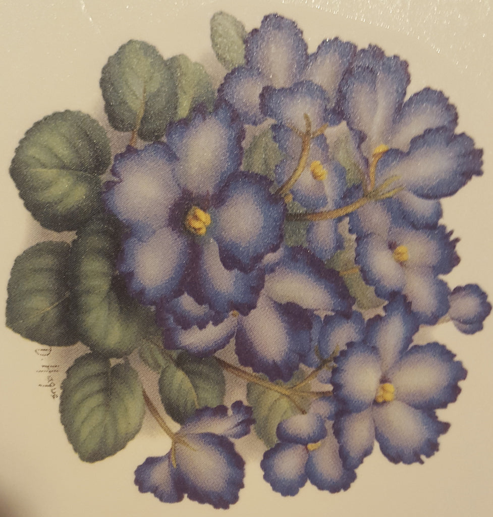 African Violet