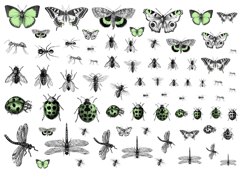 Creepy Crawlies - Light green and black