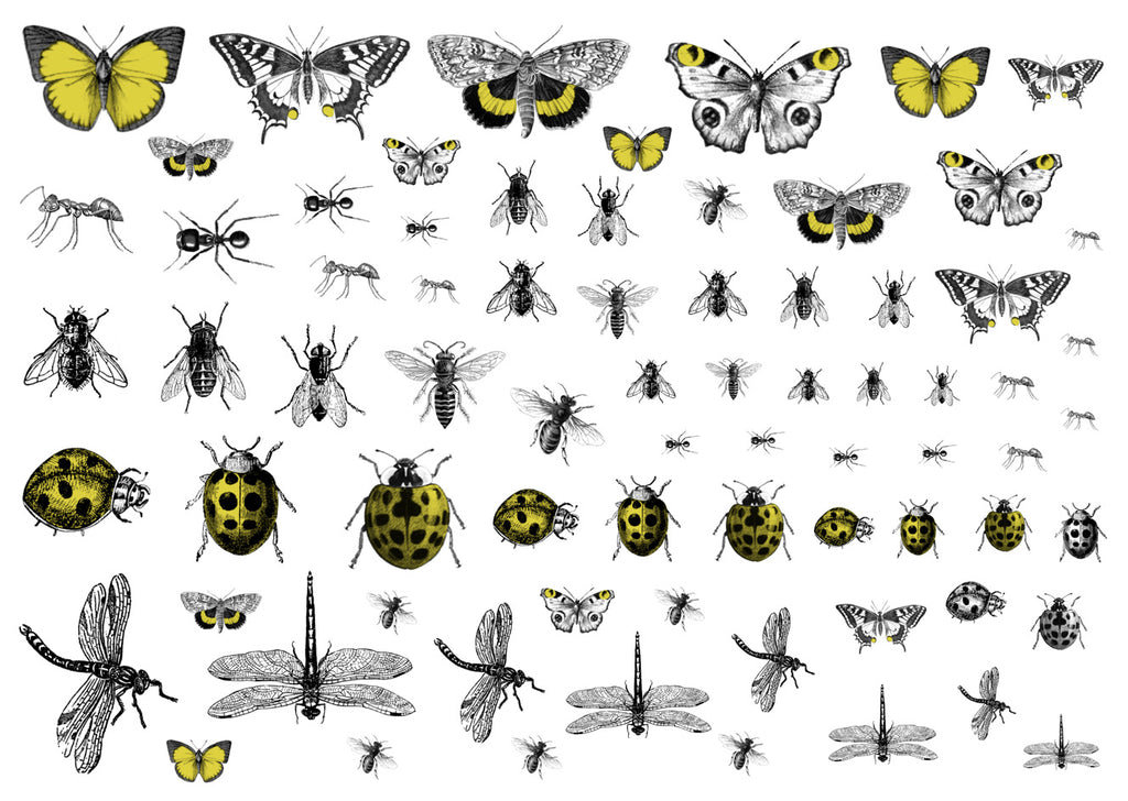 Creepy Crawlies - Lemon yellow and black