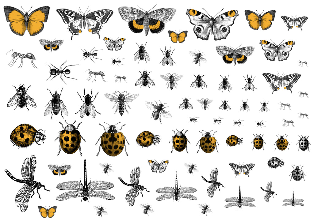 Creepy Crawlies - Mandarin yellow