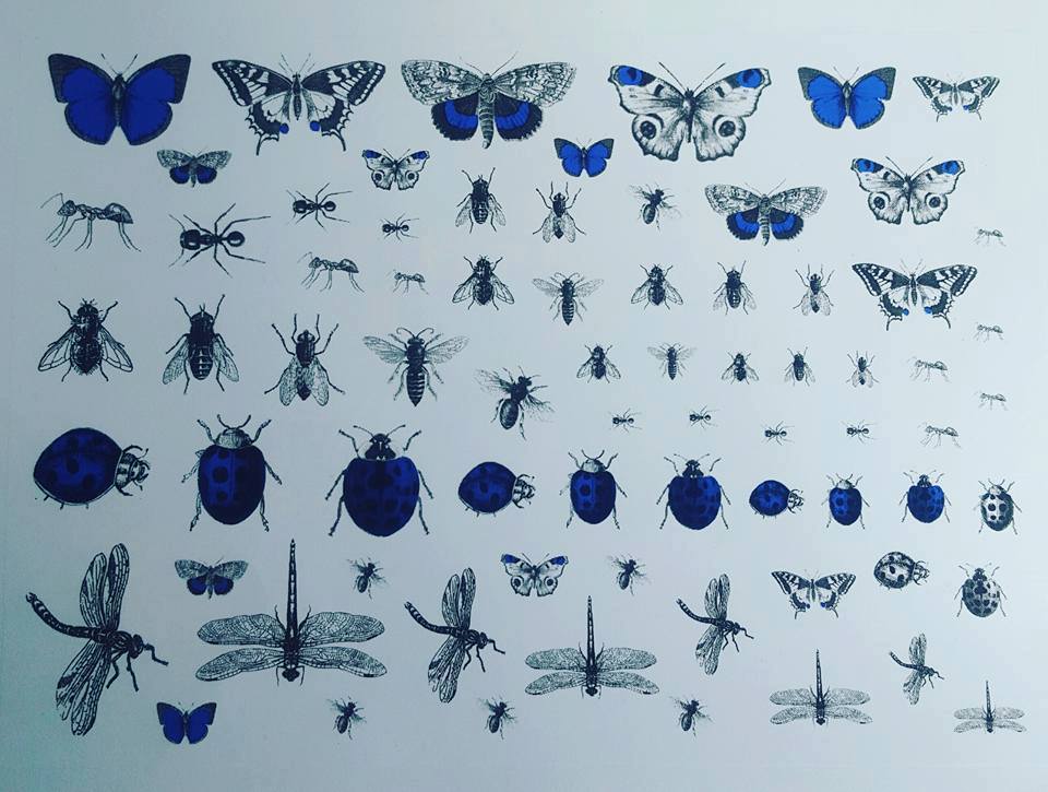 Creepy Crawlies - Royal blue and black