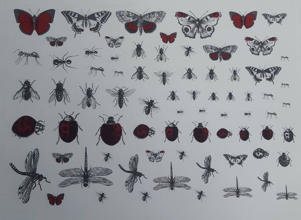 Creepy Crawlies - Red and black