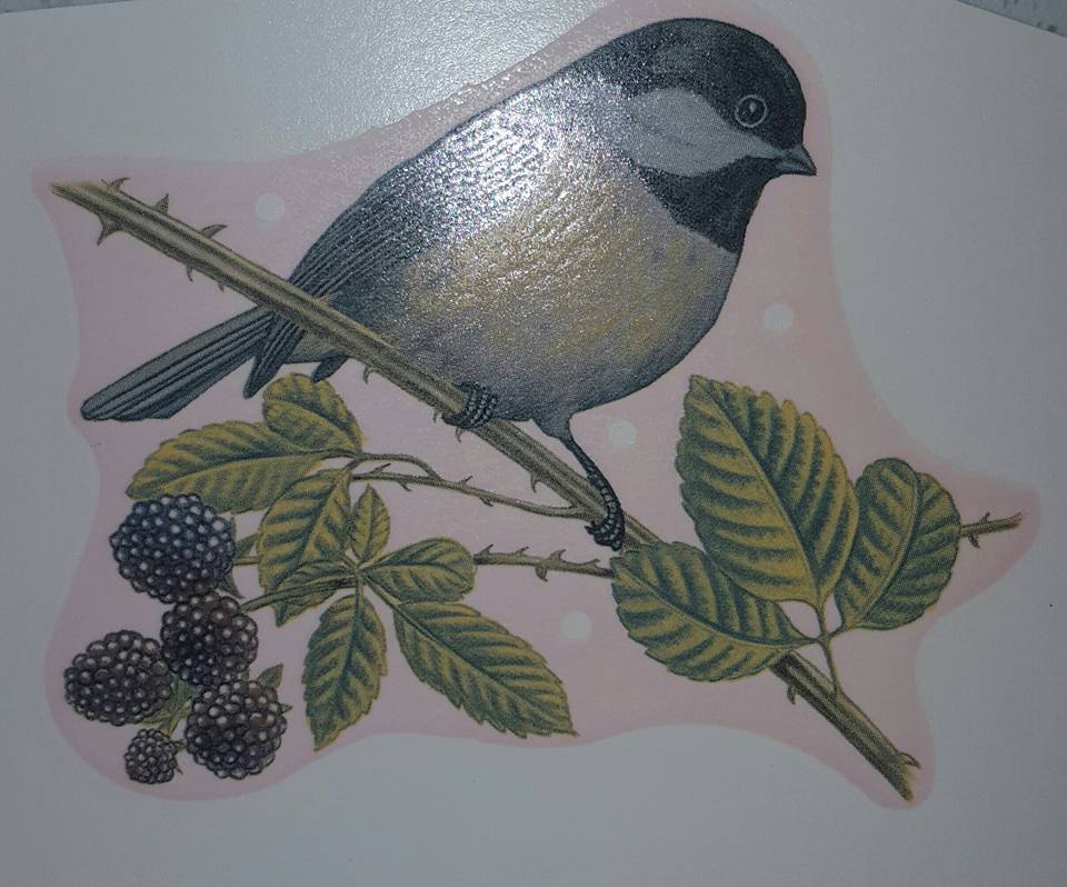 Chickadee