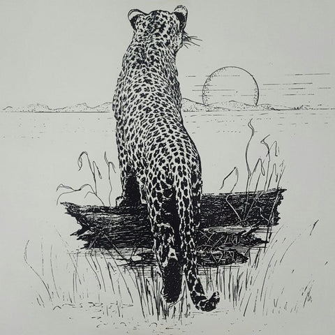 Limited edition wildlife prints - Leopard at sunset